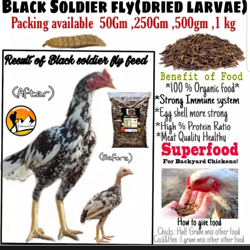 Bsf dry larvae (black soldier fly)